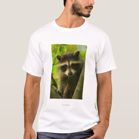 raccoon in collared shirt