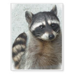 Raccoon Temporary Tattoos