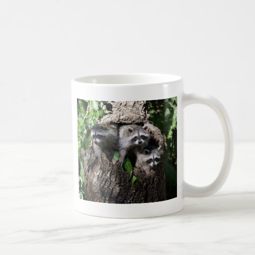 Raccoon _ The Three Amigos Coffee Mug