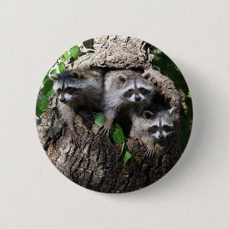 Raccoon - The Three Amigos Pinback Button