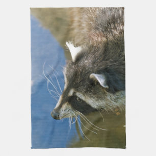 Raccoon Towel