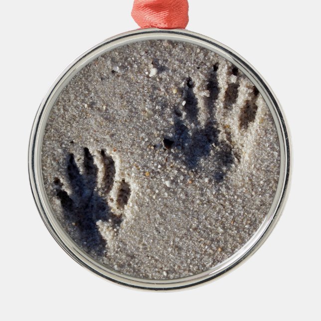 Raccoon Tracks in the Sand Metal Ornament (Front)