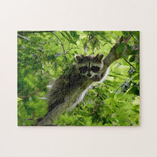 Raccoon Trash Panda Wild Nature Green Tree Scenery Jigsaw Puzzle