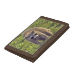 Raccoon Trifold Wallet