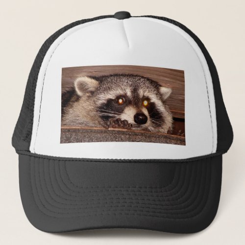 Raccoon Trucker Hat