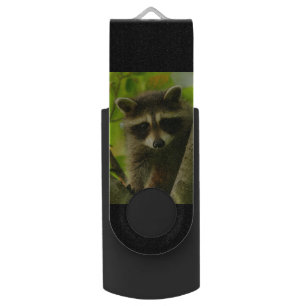 raccoon USB flash drive