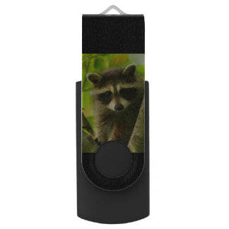 raccoon USB flash drive
