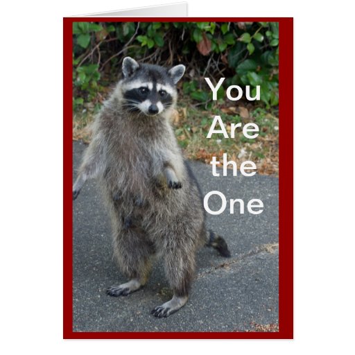 Unique 40 Raccoon Valentine Card