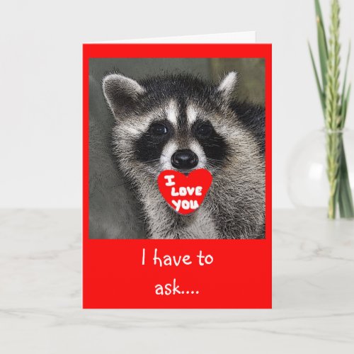 Raccoon Valentines Day Card