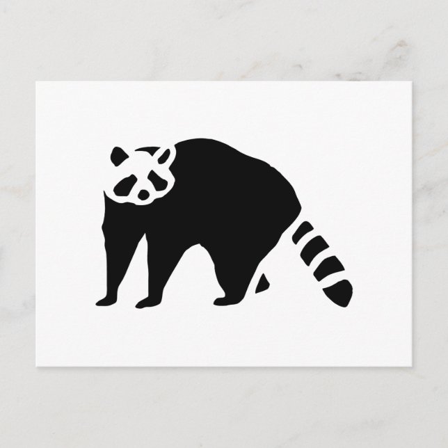 Raccoon Vintage Wood Engraving Postcard (Front)