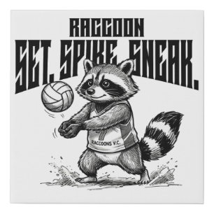 Raccoon Volleyball Star - Set Spike Sneak Graphic Faux Canvas Print