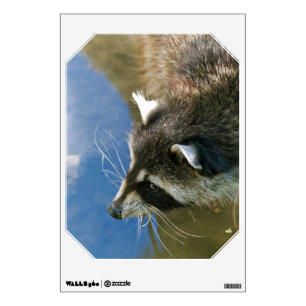 Raccoon Wall Sticker