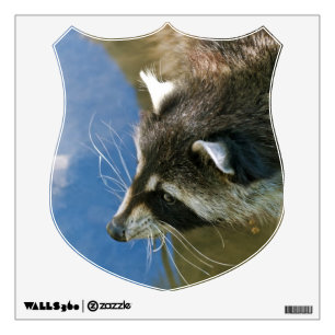 Raccoon Wall Sticker