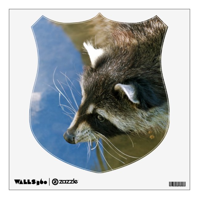 Raccoon Wall Sticker (Front)
