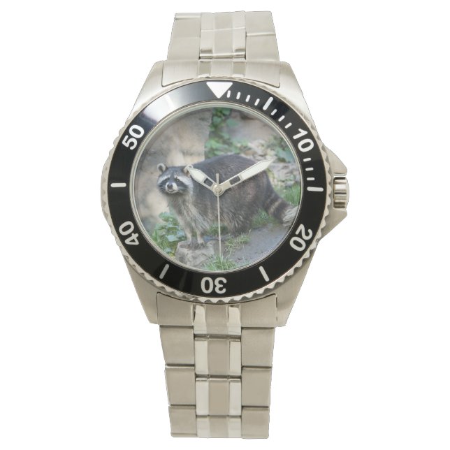 Raccoon Watch (Front)