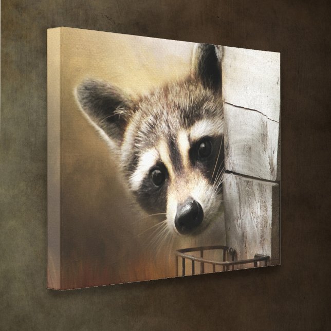 Raccoon Wildlife Canvas (Creator Uploaded)