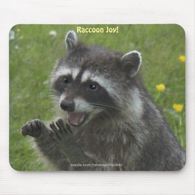 RACCOON WILDLIFE Happiness Mousepads (Front)