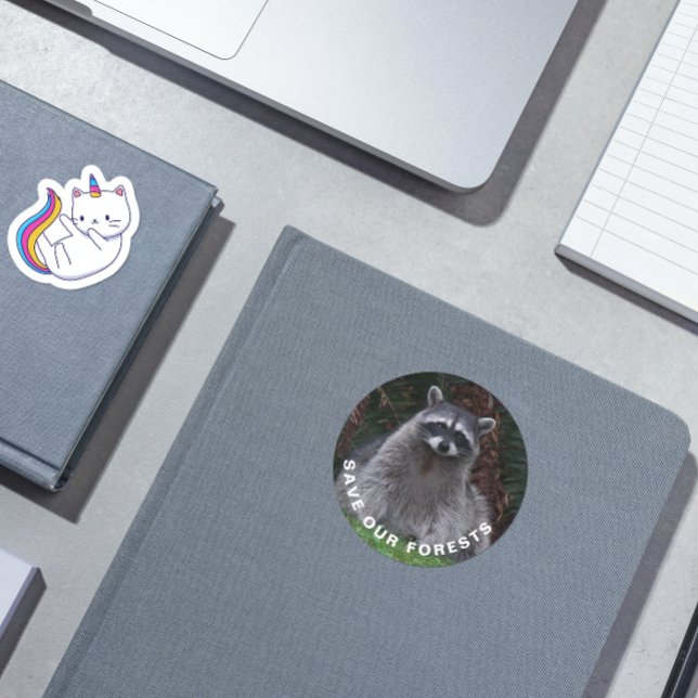 Raccoon Wildlife Photo Forest Conservation Classic Round Sticker (In Situ Book)