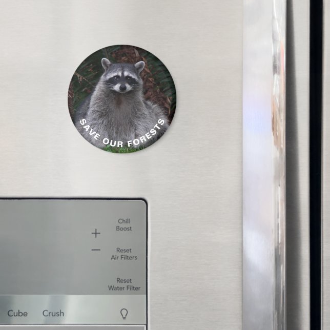 Raccoon Wildlife Photo Forest Conservation Magnet (In Situ (Fridge))