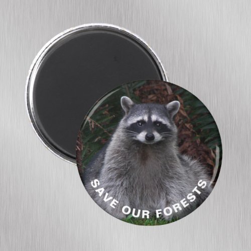 Raccoon Wildlife Photo Forest Conservation Magnet