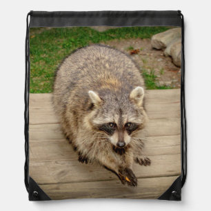 Raccoon with a chip drawstring bag