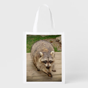 Raccoon with a chip reusable grocery bag