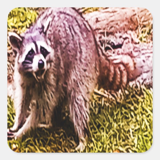 Raccoon With A Fleur De Lis Sticker (Front)