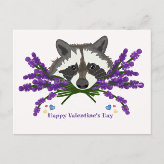Raccoon with lavender. Happy Valentine's Day Postcard