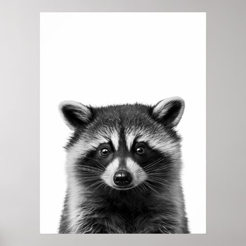 Raccoon Woodland Modern Portrait black white   Poster