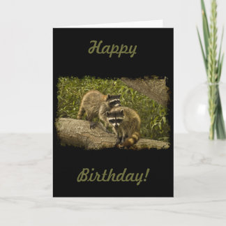Raccoons Birthday Card