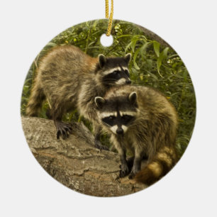Raccoons! Ceramic Ornament