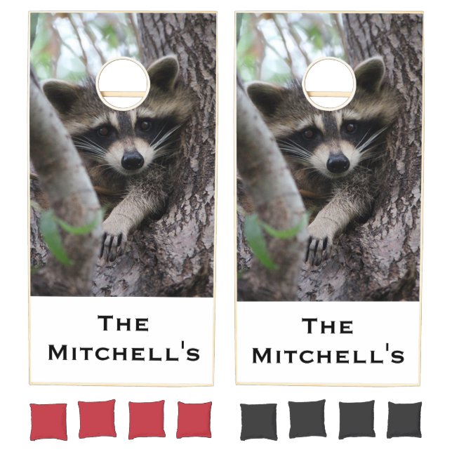 Raccoons Cornhole Set (Set)