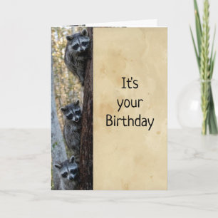 Raccoons & I Here to Wish Happy Birthday Humor Card