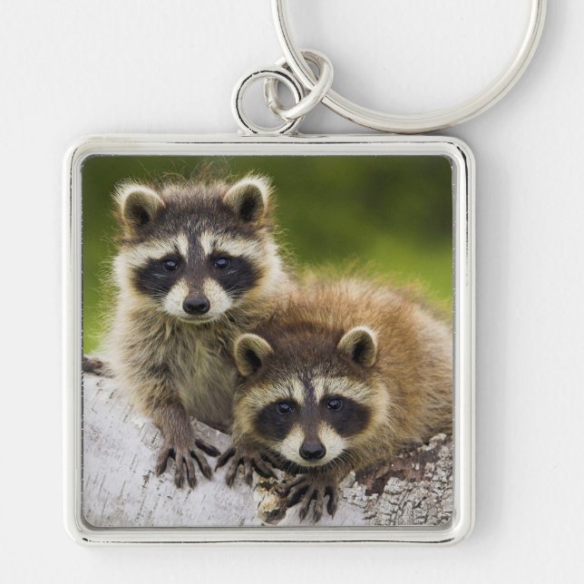 Raccoons Keychain (Front)