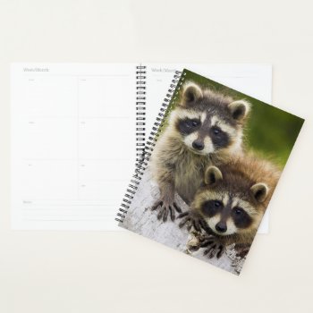 Raccoons Planner by NatureTales at Zazzle