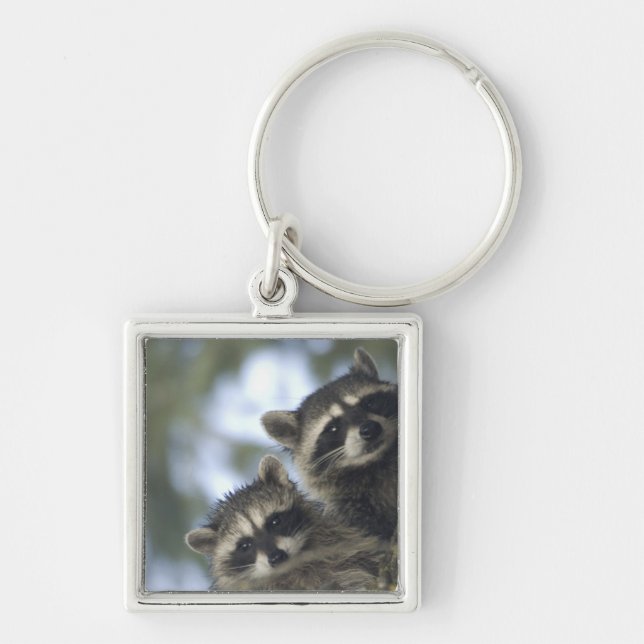 Raccoons Procyon Lotor) of Fish Lake, Central Keychain (Front)
