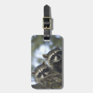 Raccoons Procyon Lotor) of Fish Lake, Central Luggage Tag