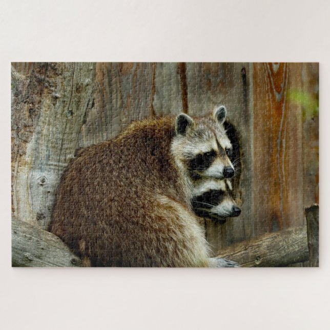 raccoons puzzle (Horizontal)