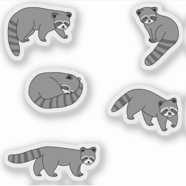 Raccoons Sticker (Front)