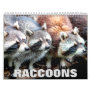 Raccoons Wall Calendar