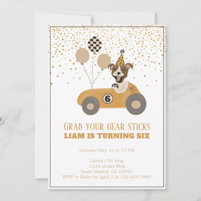 Race Car Dog Boys Sixth Birthday Party Invitation (Front)
