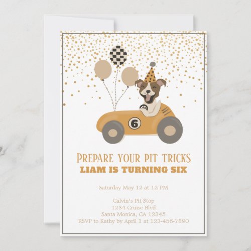 Race Car Pit Dog Boys Sixth Birthday Party Invitation