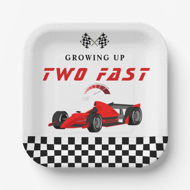 Race Car Racing Birthday Party Napkins Paper Plates (Front)
