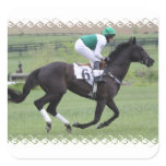 Race Horse Galloping Stickers