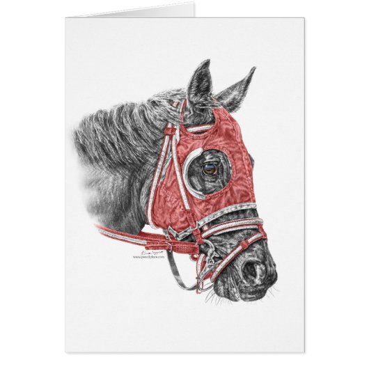 Race Horse Portrait Silks (Front)