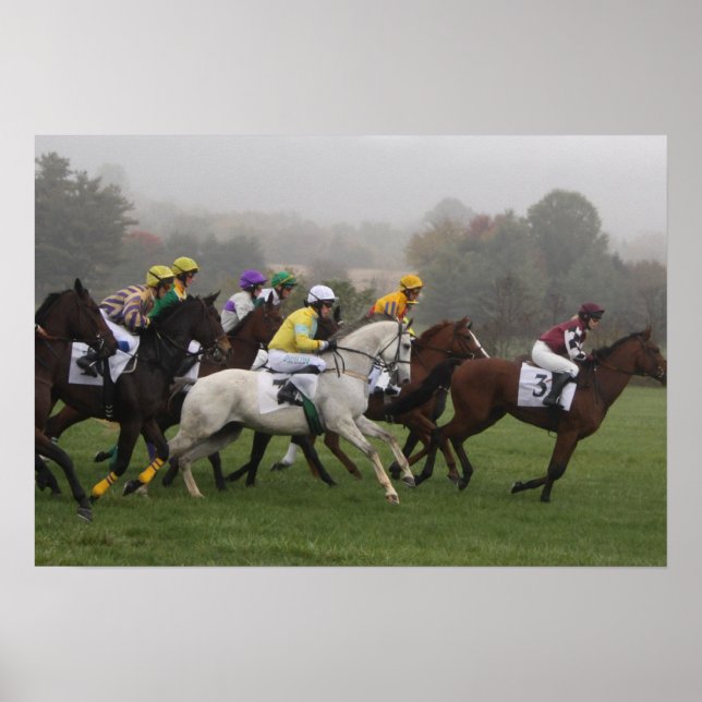 Race Horse Poster Print (Front)
