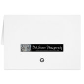 Race Horses Thoroughbreds Cards (Back Horizontal)