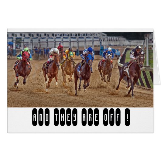 Race Horses Thoroughbreds Cards (Front Horizontal)