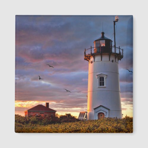 Race Point Lighthouse Magnet