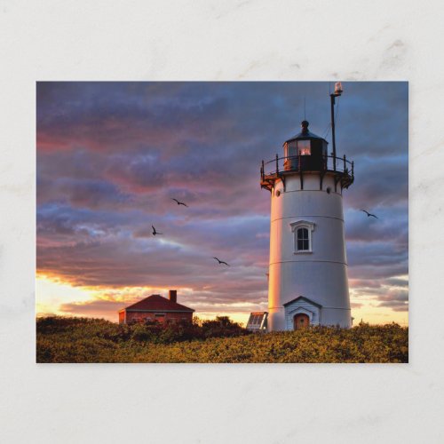 Race Point Lighthouse Postcard